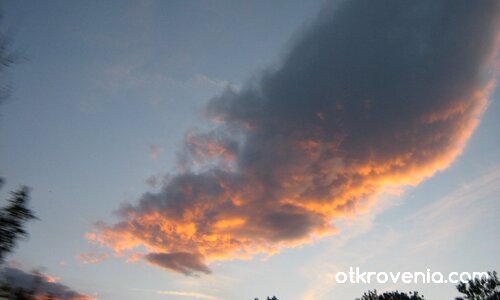 ... красота в движение :)