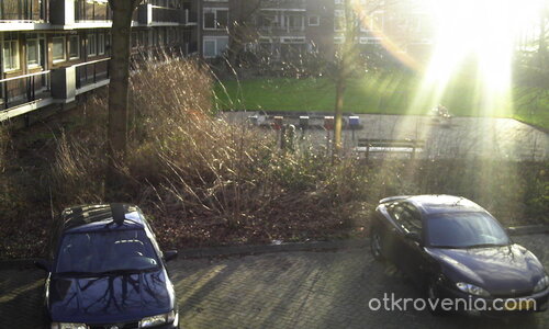 Слънце, слязло на земята.