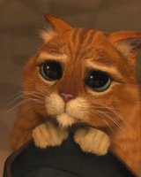 triloymi (Марина Пл)