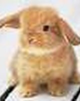 eovin_f (Ели Петкова)