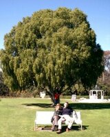 osi4kata (Румяна Симова)