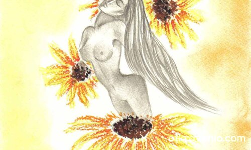 Меко събуждане сред слънчогледи