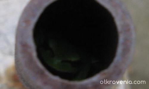 То те наблюдава