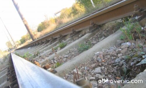 линиите ... на живота