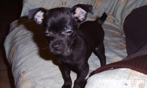 Добро утро!