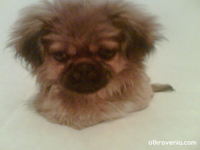 Колко съм мързеливо...