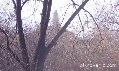 Поглед към Альоша