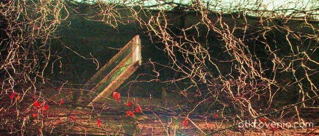 ресниците на Дракона