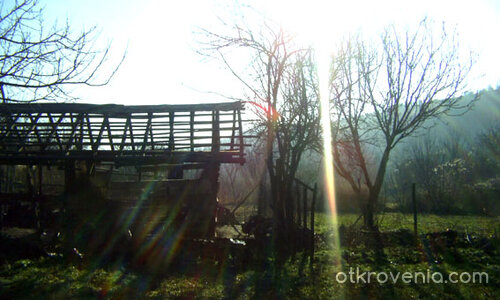 Зимно слънце