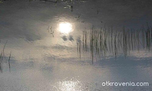 Нито ден е,нито вечер