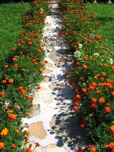 Мини по нея...