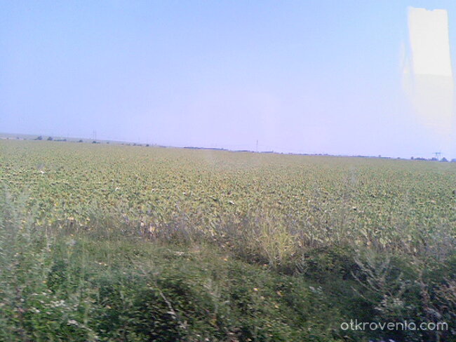 В един слънчев ден