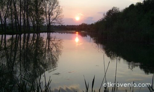 Красотата на природата