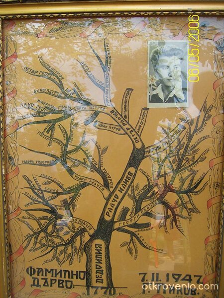 Фамилно дърво