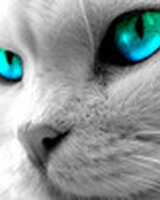 SweeT_KisS (Валя)