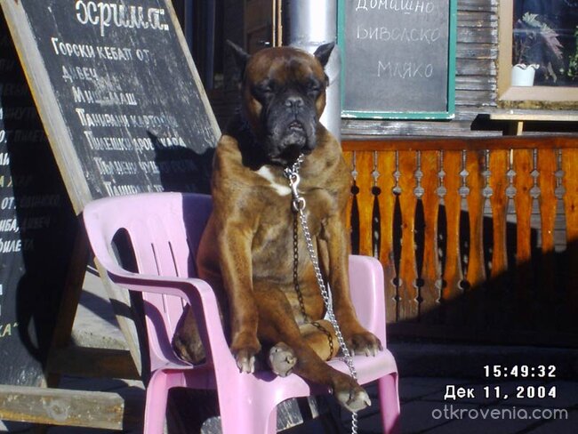 Kак ме мързи само