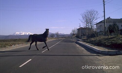 Просто си пресичам