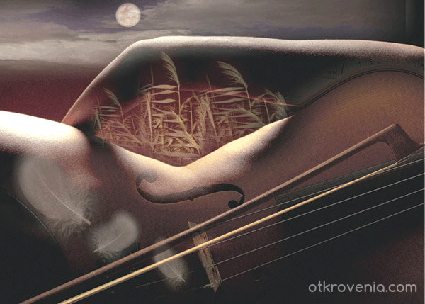 Музикални форми