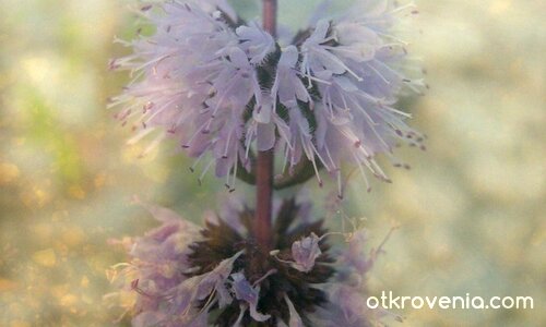 Закачка с въображението... :)