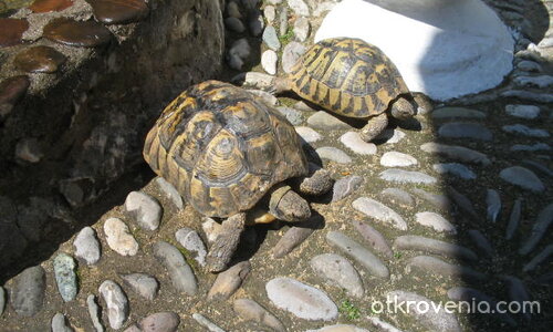 Ето ни и нас!