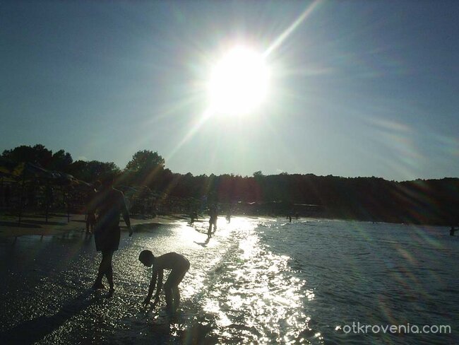Поглед към младините