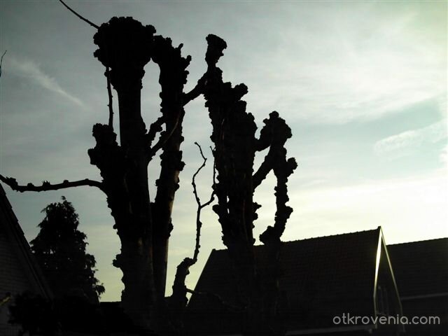 Ще оживеят ли...някога?