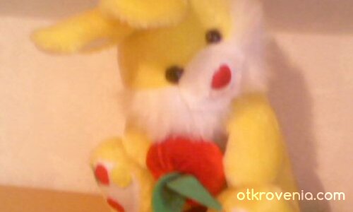 Жълто зайче