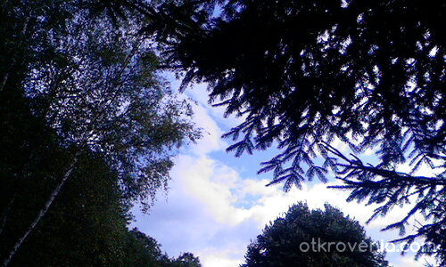 Процеп за небето