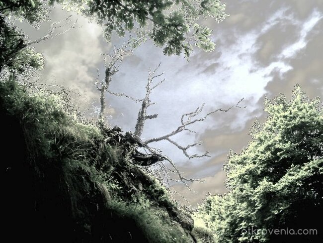 До къщата на баба Яга