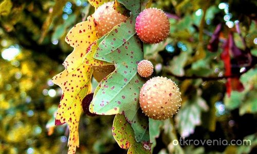 Есенни знаци