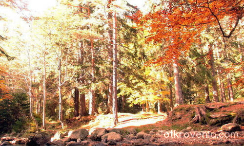 нахлуване на светлината