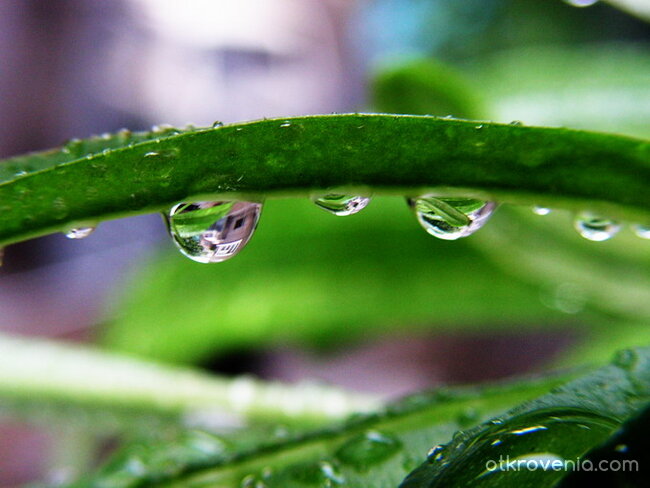 Отминал дъжд