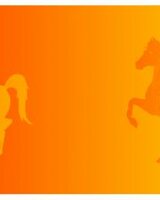 Rafaello (Роб Лий)