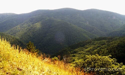 Лято в Родопите