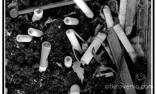 Това сме ние..