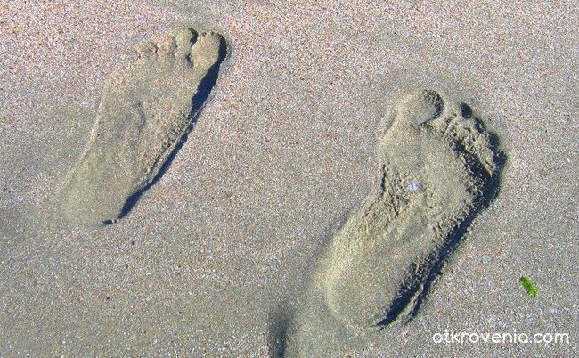 хопа-троп ...