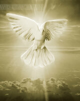 PALOMA (Палома)