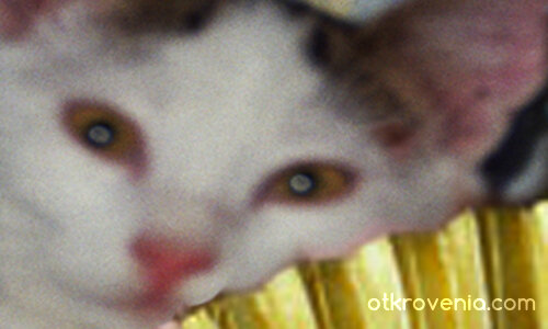 Защо не ме харесваш...