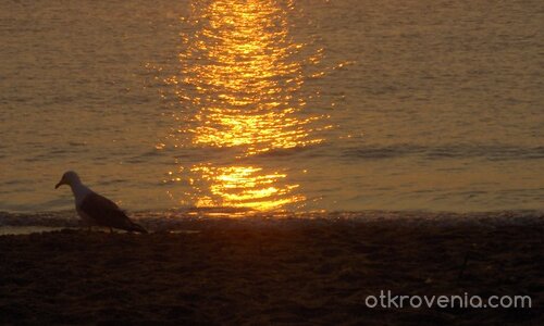 За това мечтая всяко лято