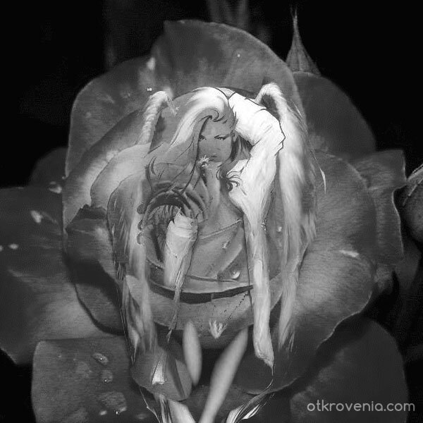 Изпепеляване