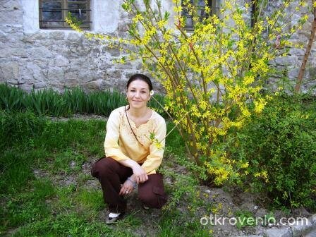 Цветове и цветя