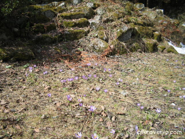 Първа пролет??