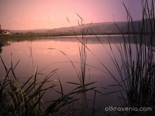 Декор за "Лебедово езеро".