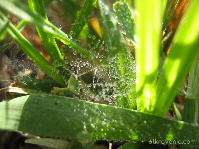 В света на миниатюрното...