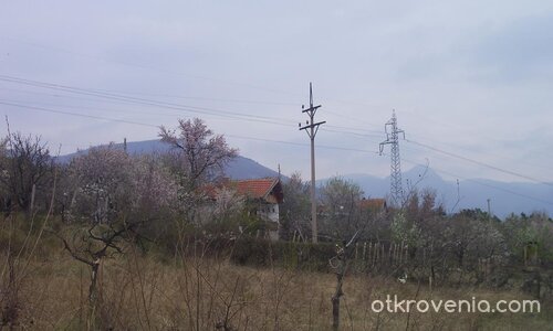 Селце пред буря