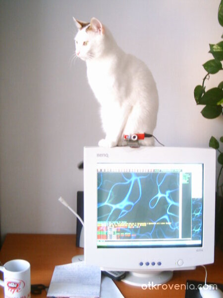 Аз виждам всичко