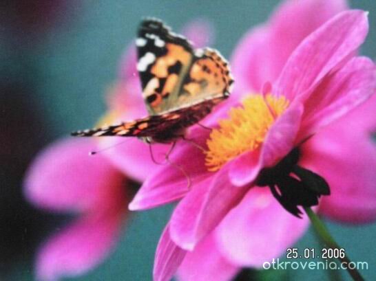 живота в един миг