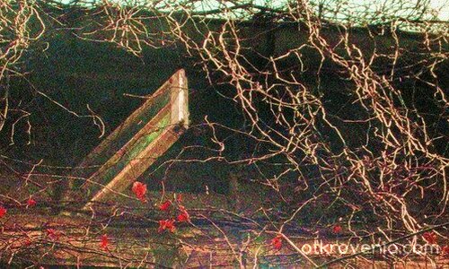 ресниците на Дракона