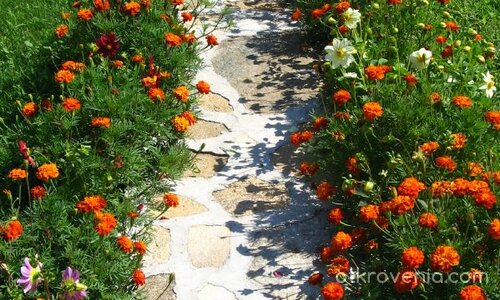 Мини по нея...