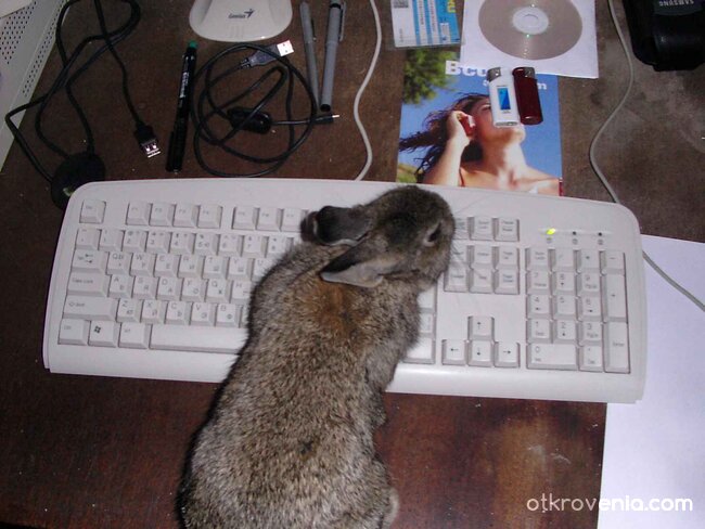 На курс по компютърна грамотност 2